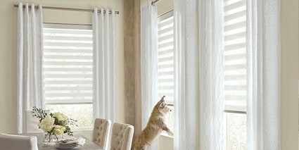 Designer Banded Shades with Design Studio Drapery