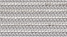 Designer Screen Shades in Indian Basket 5% Himalayan - thumb