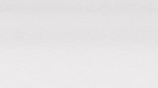 EverWood in Distinctions Alternative Wood Extreme White - thumb